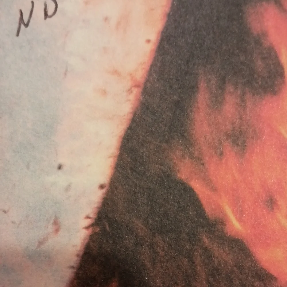'Chasing Fire' by Nora Roberts, 472 pages - Picture 9 of 9